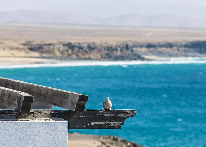 Ocean Vista El Cotillo